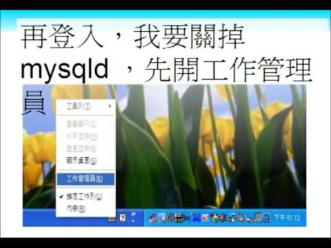 PHP / MySQL 亂碼解決