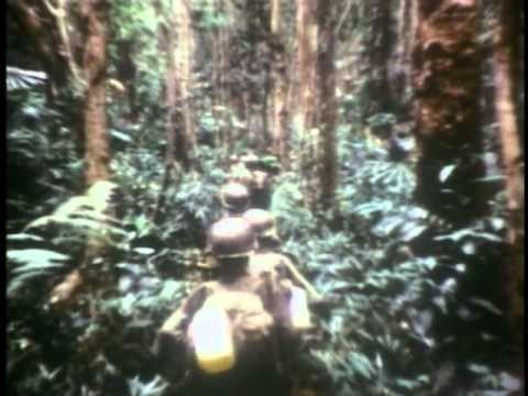 Vietnam War 1962 to 1975 - Part 1 of 3