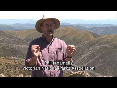 Alpine National Park under threat