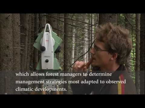 MANFRED - Management strategies to adapt Alpine Space forests to climate change risks