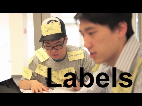 Labels - The Asian | American Divide