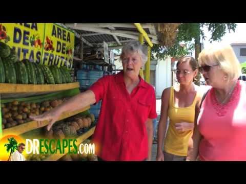 Cabrera Dominican Republic Grocery Store Tour - Part One