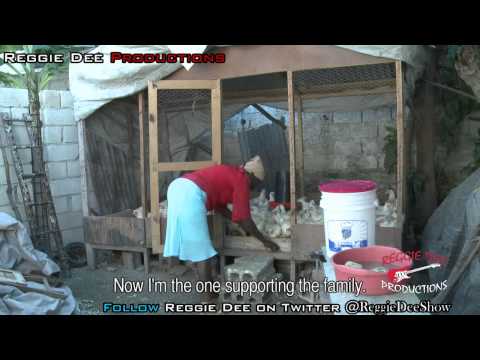 Haiti News - Haiti Economic 2013