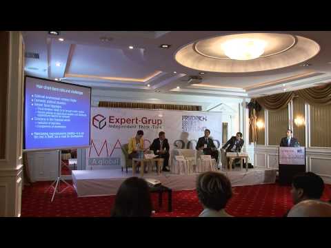 Tokhir Mirzoev at MACRO 2013: Moldova's economy and reforms, IMF perspective