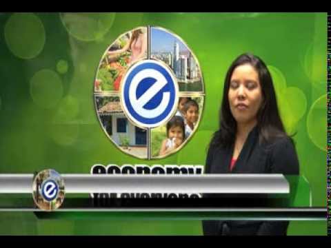 MEF Panama Economy for Everyone january 10 2014