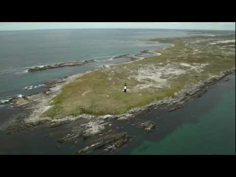 Welcome to the Falkland Islands