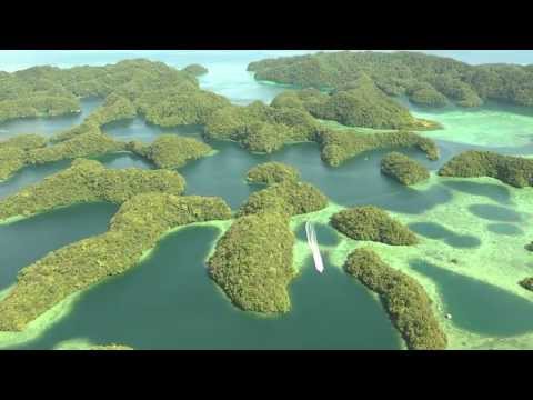 Palau World Heritage - A Naturalist's Haven