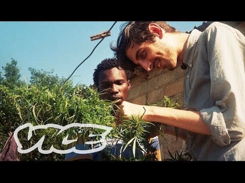 Swazi: Gold Mine of Marijuana (Trailer)