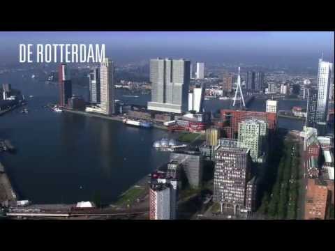 De Rotterdam Film