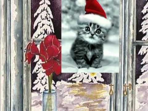 Chants de Noël  -  Noël des Enfants du Monde