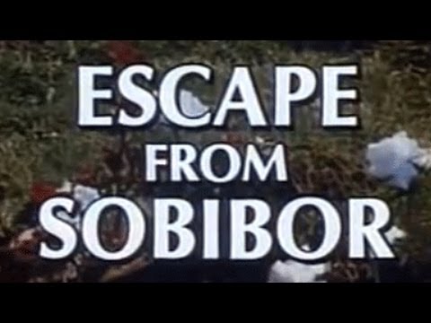 Escape From Sobibor (1987)