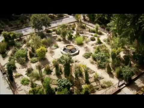 Orto Botanico Padua.mp4