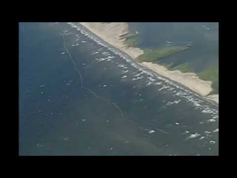 Oil spill in Gulf of Mexico reaches US Gulf coast