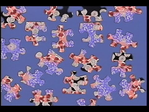 The Puzzle Of HIV - Full Documentary