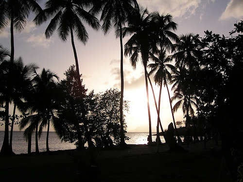 coucher de soleil sur l'anse figuier / Martinique