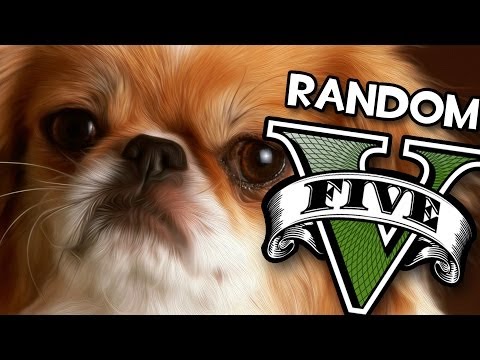 NUESTRA GRAN AMIGA FUFU | GTA V Random