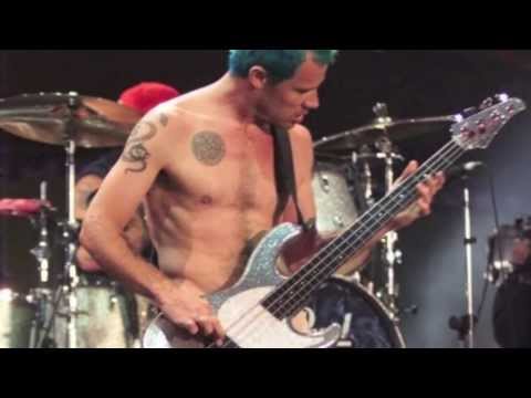 Best of Flea (Studio)