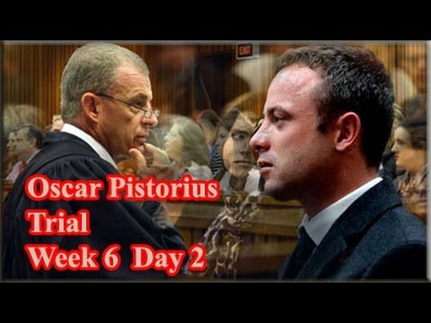 Oscar Pistorius Trial: Tuesday 15 April 2014, Session 3