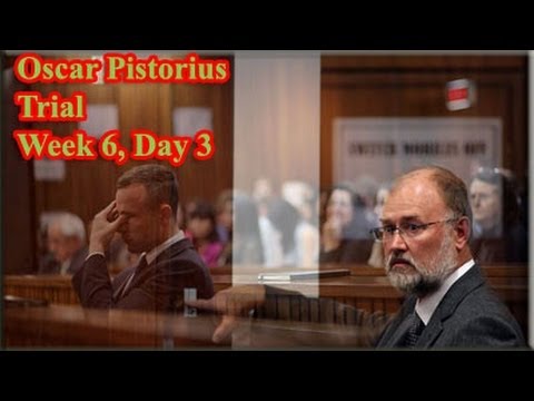 Oscar Pistorius Trial: Wednesday 16 April 2014, Session 3