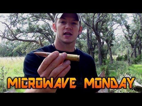 Live 50 Caliber Bullet in a Microwave