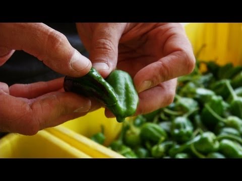 Peppers:  A Love of Spanish Food and Culture