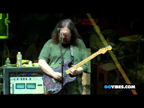 Dark Star Orchestra Performs 