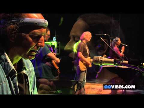 Dark Star Orchestra performs 