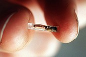 Human microchips (Thumbnail)