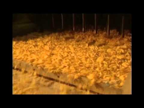 How It's Made - Cereal