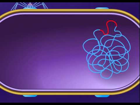 Specialized Transduction by Temperate Phage [HD Animation]