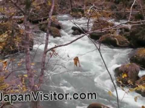 Oirase Gorge Aomori Prefecture |  奥入瀬渓流