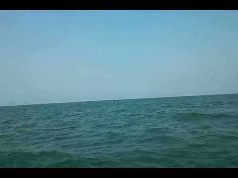 Dolphins at Panambur Beach, Mangalore