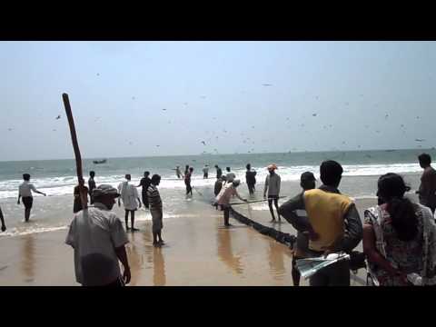 Traditional fishing at Panambur Beach, Mangalore.MP4