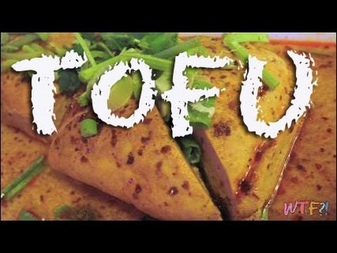 What is Tofu? Tofu 101 and Easy Fried Tofu Recipe