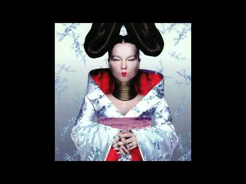 Bjork   Unravel   Homogenic