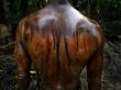 A worker cleans an oil spill from an abandoned Shell well in Oloibiri, Nigeria