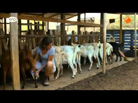 Boer Zoekt Vrouw Internationaal 2013: De boeren stellen zich voor (aflevering 1)