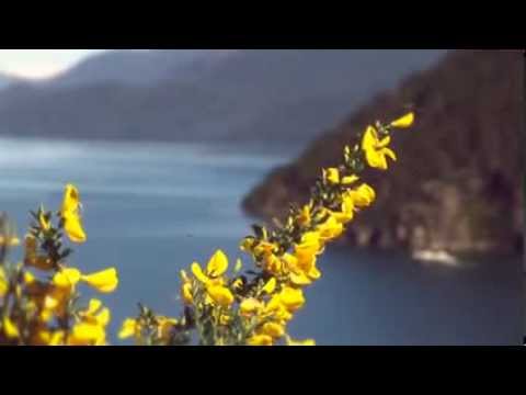 San Martín de los Andes. Video presentación verano 2014