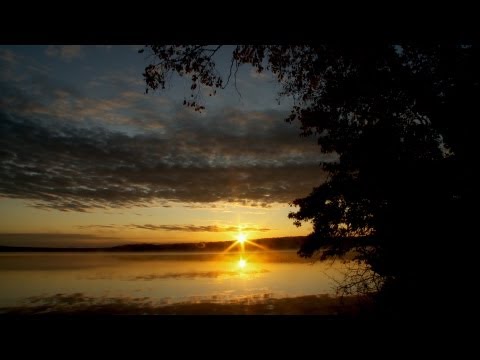 Minnesota Waters At Risk (short version)  - Aquatic Invasive Species