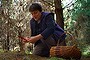 Janina Knight forages for wild edible mushrooms, Slippery Jacks and Saffron Milk Caps,  in a Black Springs pine forest south west of Oberon.
7th April 2014
Photo: Wolter Peeters
The Sydney Morning Herald