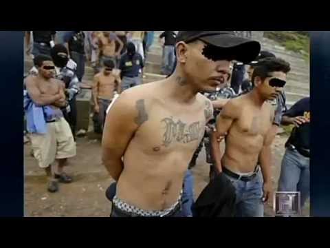 MS-13 - Root Of All Evil