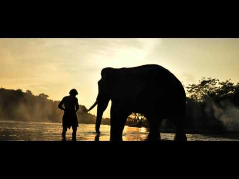 Soi Soi - Full Song - Kumki