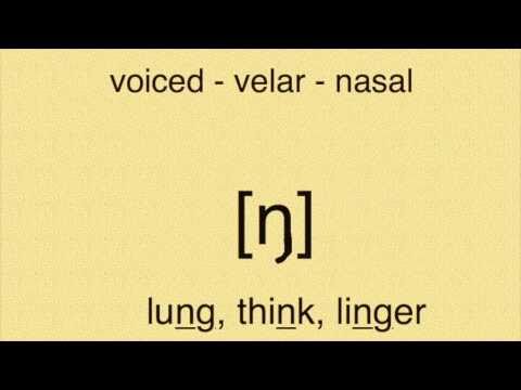 IPA: International Phonetic Alphabet