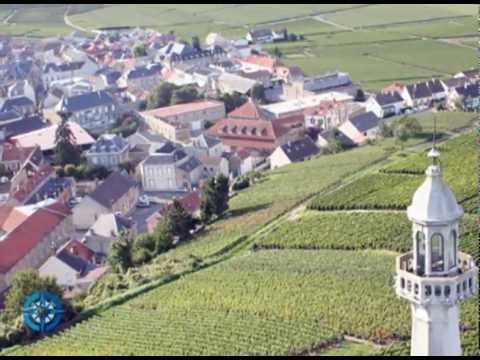 A Champagne Tour On A Beer Budget: Reims, France - tour sample