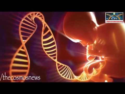 Scientists Discovered Message from God in Human DNA Code!