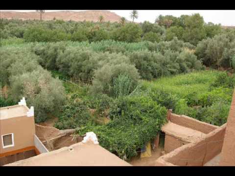 www.retouraucalme.com_guest_house_Tinghir_ouarzazate_oasis_maroc_01