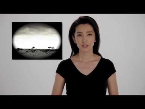 Li Bingbing Talks Elephants (Chinese Version)