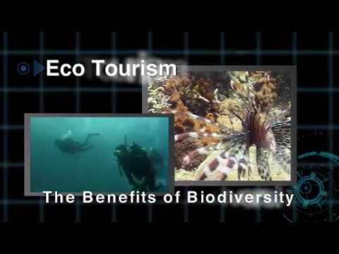 Official video of the International Year of Biodiversity 2010