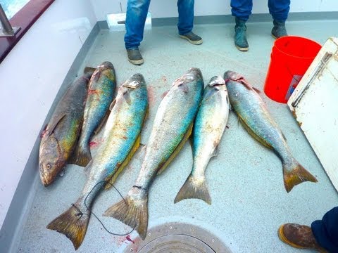 Coral Sea Sportfishing - 2 day San Nicolas Island - July 6 - 7 2013