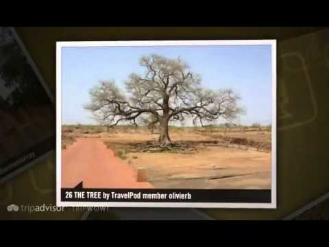 Best Photos near Mali - Incl. Typical Village, Djenne Mosque, Niger Sunset, The Tree, The Rock